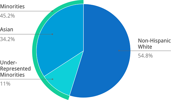 Race and ethnicity of scientific review officers at the Center for Scientific Review. Pie chart showing percentage of scientific review officers in different racial and ethnic groups. Data were last updated in March of 2021.
