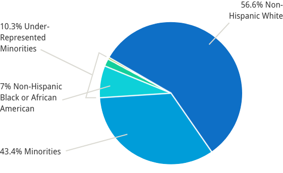 Race and ethnicity of scientific review officers at the Center for Scientific Review. Pie chart showing percentage of scientific review officers in different racial and ethnic groups. Data were last updated in March of 2021.